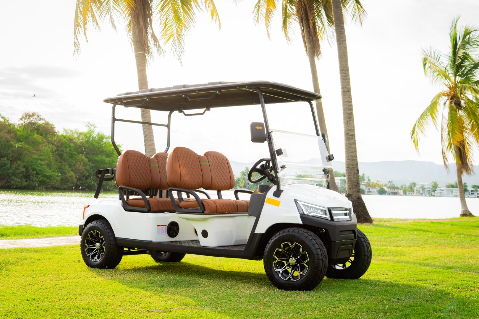 Movilidad eléctrica con visión global